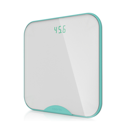 Wireless Digital Weighing Scale BTG-365